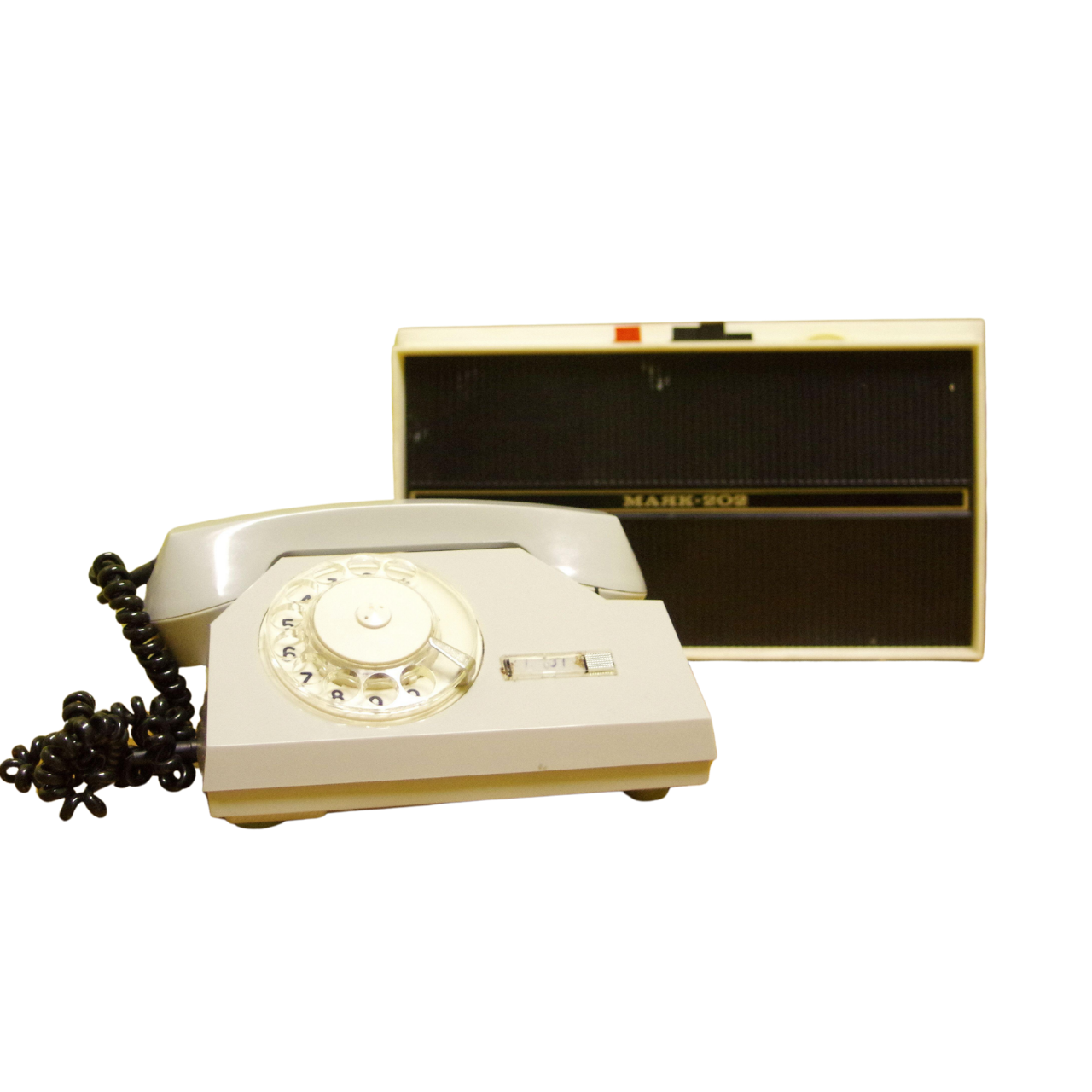 Dr. Robert Chen portrait