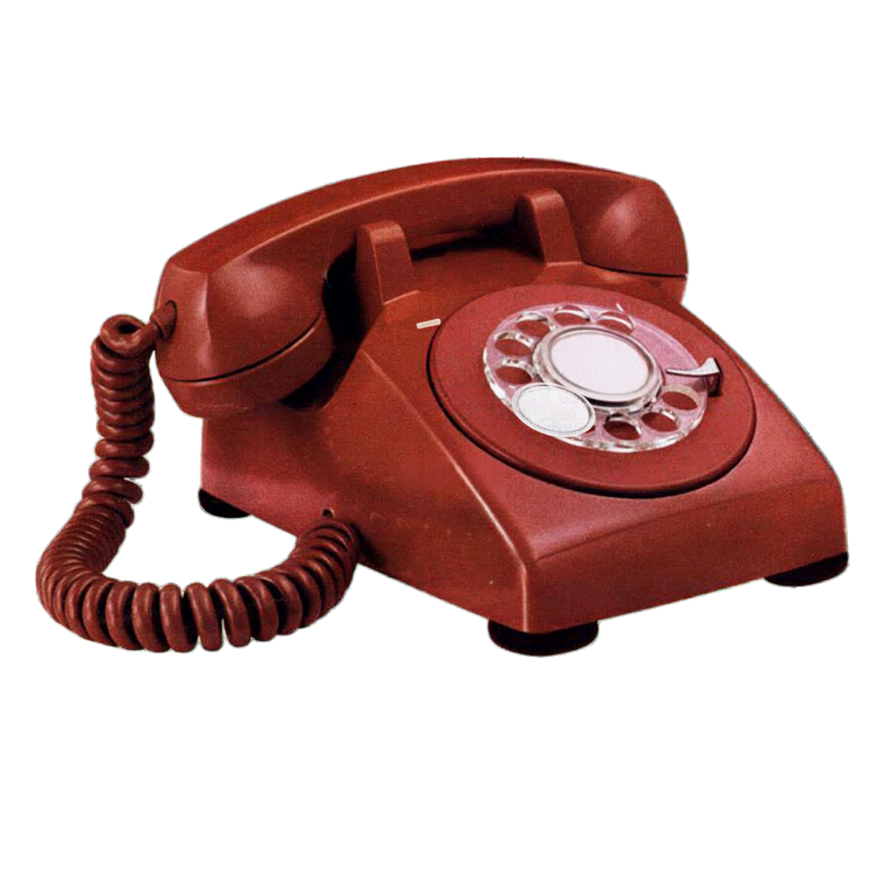 Maria Garcia portrait